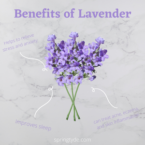 Benefits of Lavender Oil